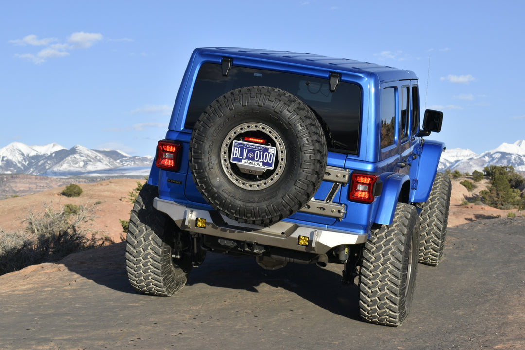 Blue Jeep DSC0318, rear view with spare tire, off-road