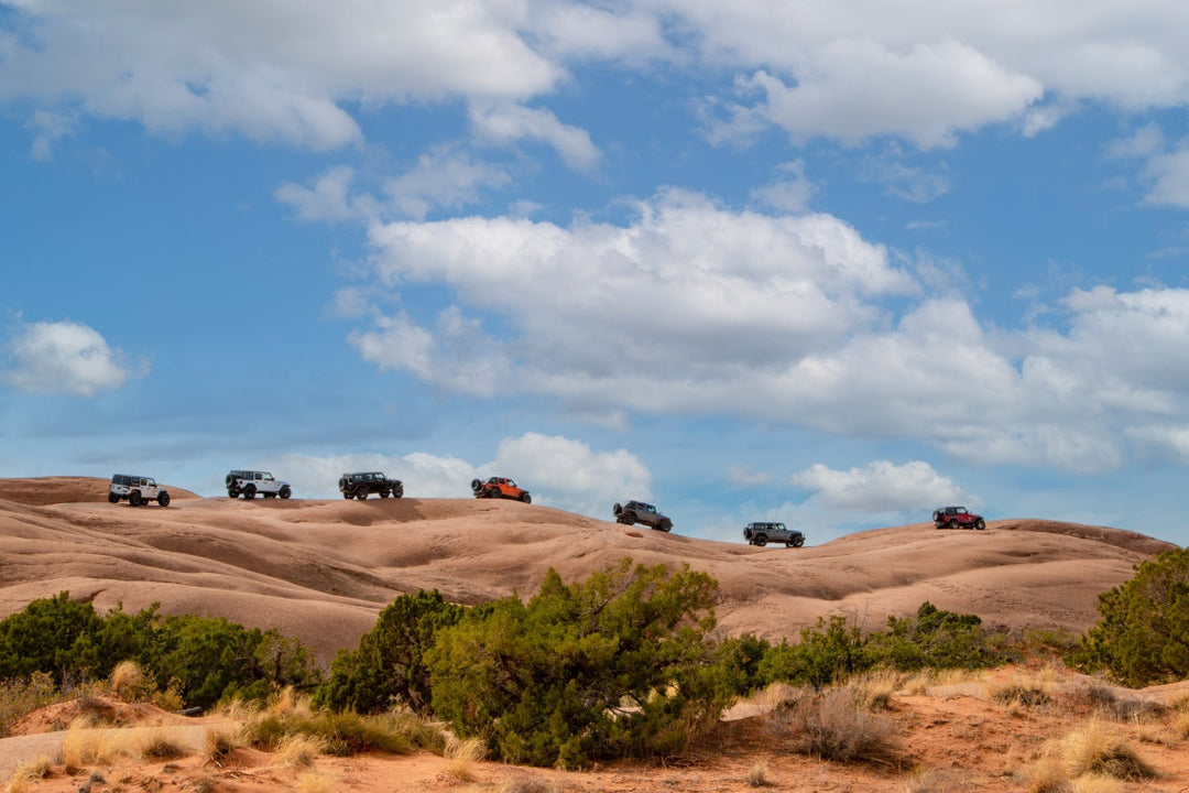 A line of Jeep owners and their Jeeps on a trail.