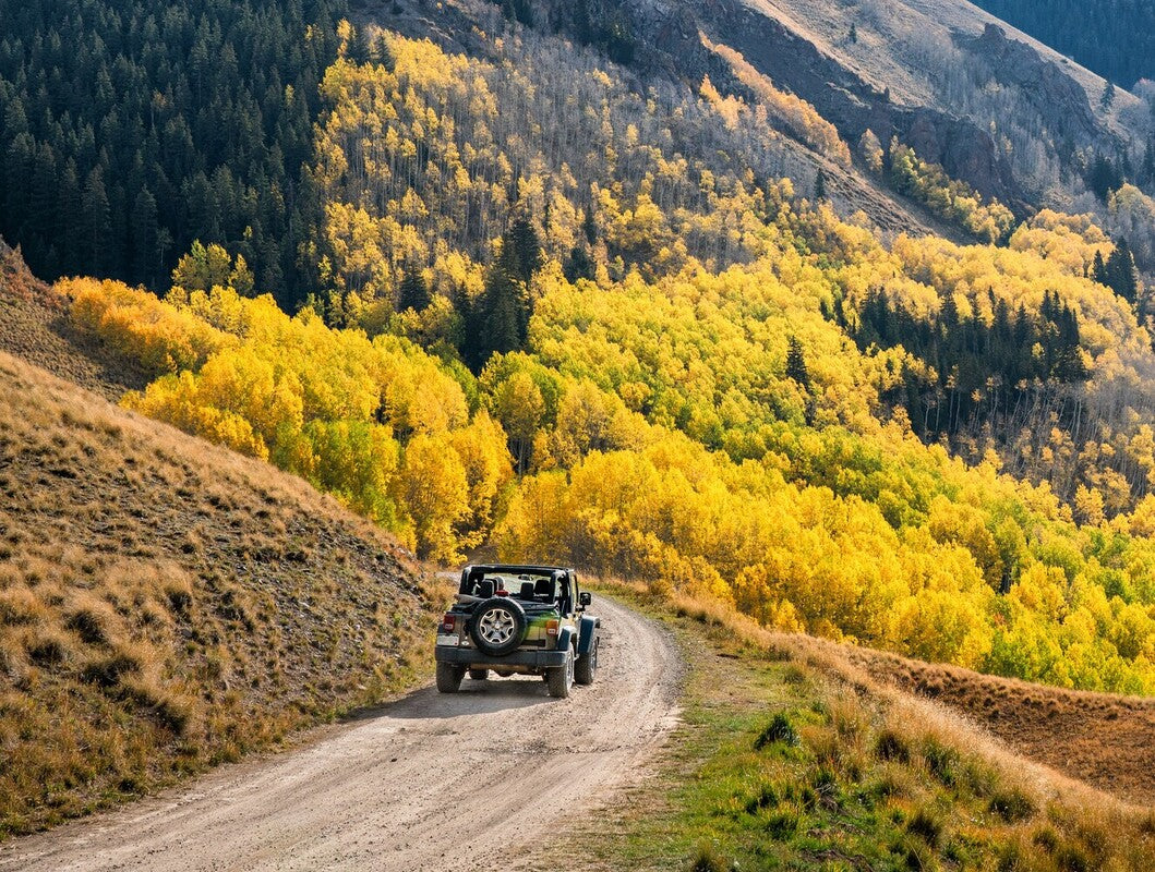 example of the best Jeep for off-roading on a beautiful forest trail